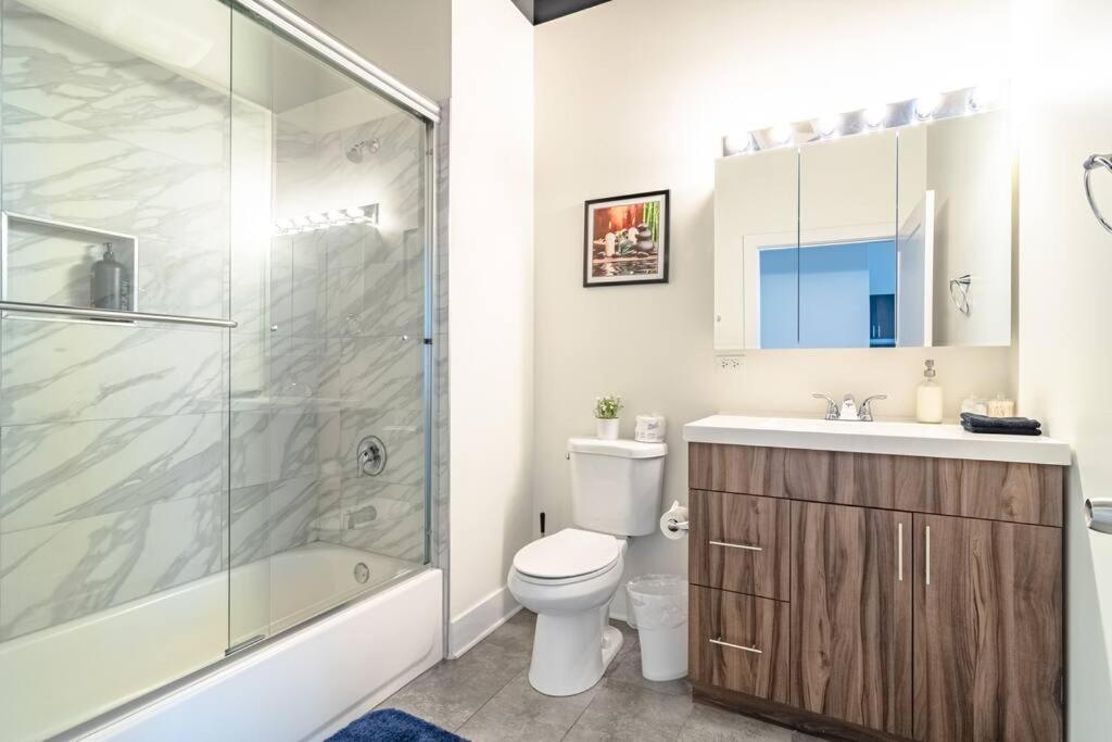 Spacious South Loop 2br Near Mccormick Place, Soldier Field & Downtown Apartment