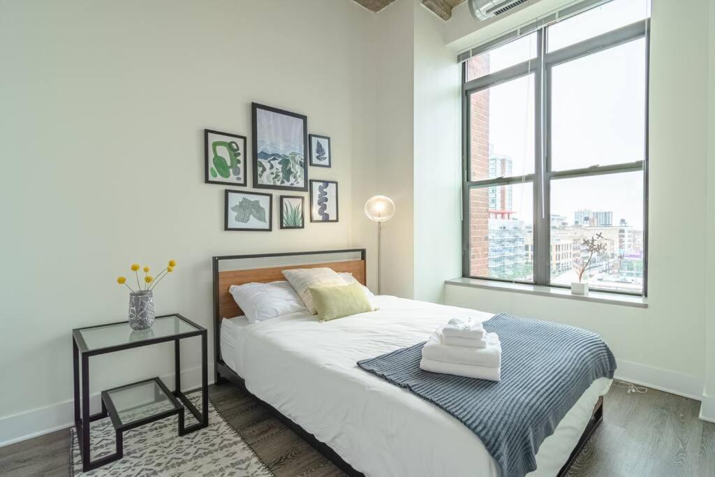 Apartment Spacious South Loop 2br Near Mccormick Place, Soldier Field & Downtown Chicago