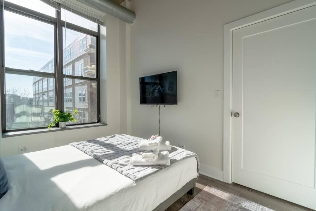 Apartment Mccormick Place Beautiful 2br With Optional Parking Sleeps Up To 8 Near Soldier Field, Grant Park And Lakefront Trail